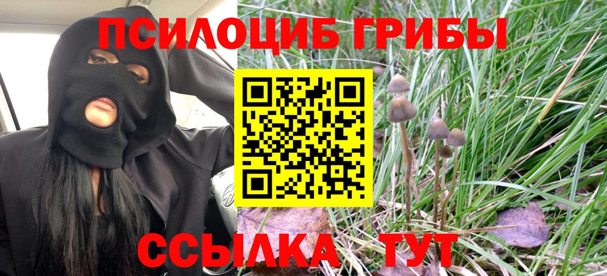 Галлюциногенные грибы MAGIC MUSHROOMS Нарткала